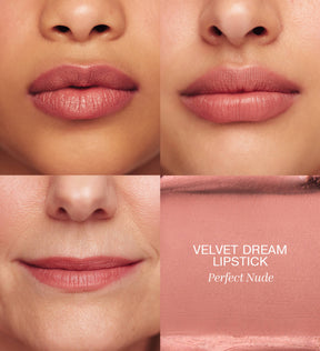 Velvet Dream Lipstick in Perfect Nude application on lips and texture swatch
